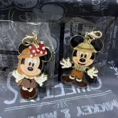 ⭐️ディズニー　ジャングルカーニバル　チャーム　ミッキー　ミニー