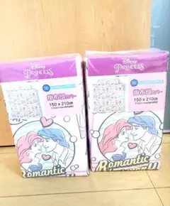 ディズニープリンセス　掛け布団カバー　SLサイズ