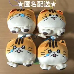 ツチネコ ぷちぐるみ コンプリート マスコット ねこ【プライズ版