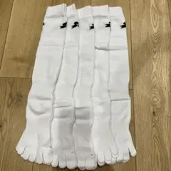 Item thumbnail for item 9f8de022-553c-4a38-aa57-87ebbf374f51