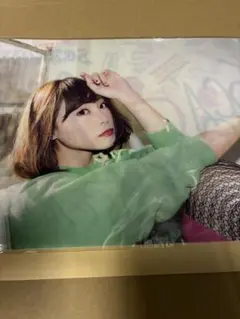 SCANDAL RINA 特典クリアファイル単体 新品