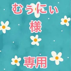 むぅにぃ様専用