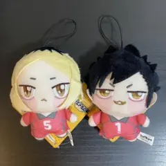 ハイキュー ちょぴぬいぷち 孤爪研磨 黒尾鉄朗 ぬいぐるみ