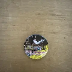 イチオシ 缶バッジ 2025 セ・リーグ優勝 9月7日 阪神 甲子園