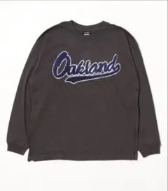 Item thumbnail for item 78ae9a92-94fc-4ac7-95a7-2040af98381a