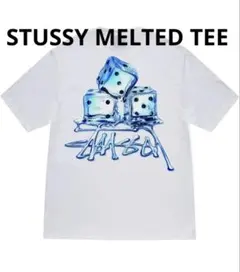 【L】STUSSY ステューシー MELTED TEE WHITE