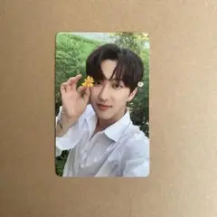 stray kids