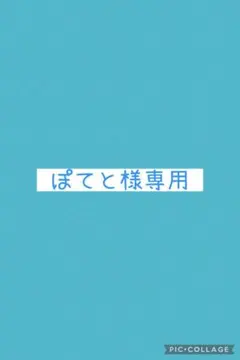 ぽてと様専用ページ