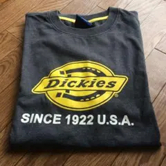 Tシャツ　Dickies ディッキーズ　Ｍサイズ