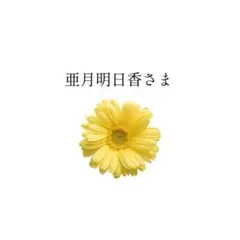 亜月明日香様専用のサムネイル