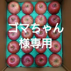 【ゴマちゃん様専用】詰合せ