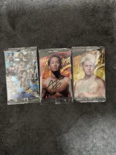 RIZINウエハース カード