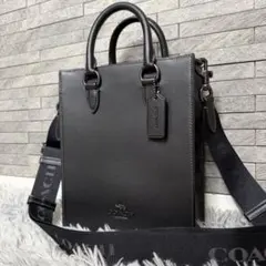 【極美品】COACH ショルダーバッグ ディラン カラーブロック 2way