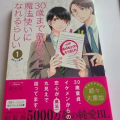 2026年最新】30歳まで童貞だと魔法使いになれるらしいの人気アイテム