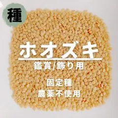 かな様 リクエスト 10点 まとめ商品