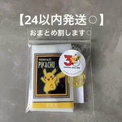 PVCポーチ／ポケモン30周スリーコインズ　スリコ　3coins