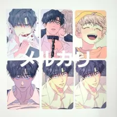 韓国BL LEZHIN 根無しの木 コレクションフォトカード トレカ セット