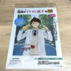 ハイキュー‼︎ 青葉城西高校　及川徹　岩泉一　クリアファイル
