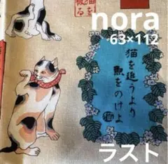 ラスト‼️nora ノラ「猫とことわざ」63×112