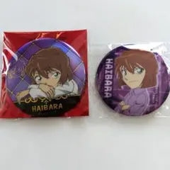 名探偵コナン 灰原哀 缶バッジセット