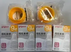 Item thumbnail for item 7f93d802-4fba-4b25-ac3d-a7f179bd9cd0