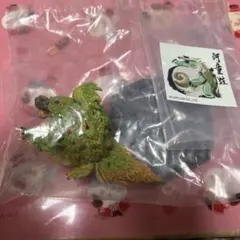 モンスターハンターフィギュア　ヨツミワドウ