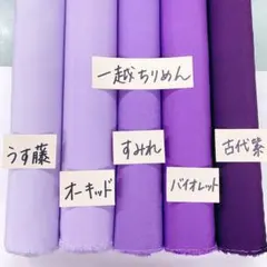 薄フジセット