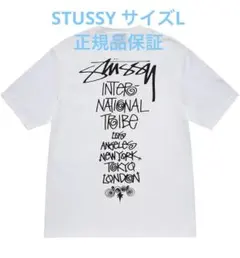 【L/品薄正規品】STUSSY ステューシー TRIBE STACK TEE