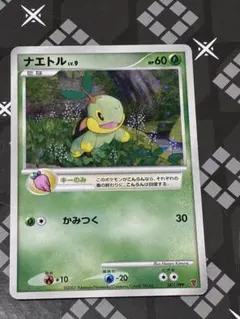 PSA10 ナエトル lv.9 プロモ 001/PPP プレイヤーズ 希少プロモ】ナエトル LV.9 001/PPP 第5期プレイヤーズ PROMO - メルカリ