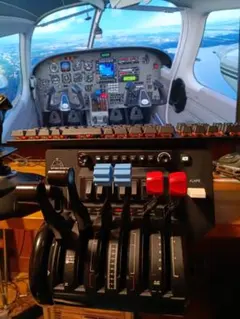 Honeycomb ブラボー スロットル クアドラン スロットル 訳あり