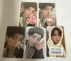 &team 雪明かり　タキ　トレカセット