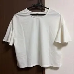 MURUA 半袖 ホワイト フレア　Fサイズのサムネイル
