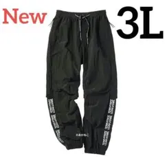 Item thumbnail for item 33cacecd-fd3a-4f95-b6db-cf486349bb40