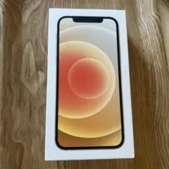 Apple iPhone 12 ※ ケースのみ