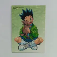 2025年最新】HUNTER×HUNTERカードダスマスターズ初版ゴンカード