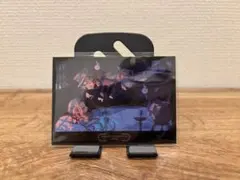 地縛少年花子くん 化け猫旅館花子亭 フォトカード 特典 花子くん 寧々