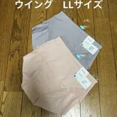 Item thumbnail for item b304839e-9cfe-47d7-8363-ec6fb8d21cd9