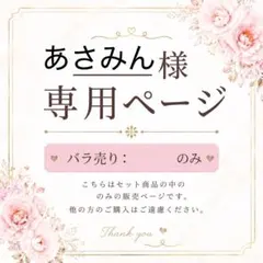 あさみん様専用ページ