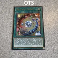 レリーフ 遊戯王OCG デュエルモンスターズ(外国語版)