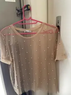 ZARA 薄ピンク系シースルー 半袖 トップス