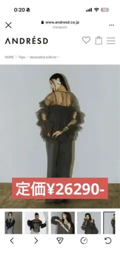 【値下げ中】ANDRESD チュールトップス&オールインワン