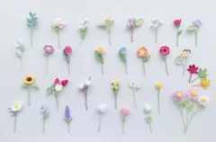 cocoaさま専用