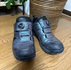 Item thumbnail for item c0f7ecd7-370d-4484-b68f-dff471d05344