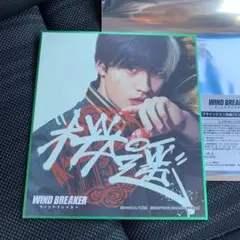 映画 WIND BREAKER ミニ色紙 水上恒司 桜遥