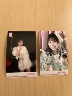 Item thumbnail for item d2c97b2b-ae1a-4b95-b4ff-8abdc1ac491c