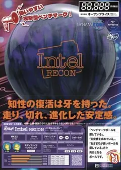 【新品・未使用】WEB PEARL 15ポンド 2026年最新】15ポンドの人気アイテム - メルカリ