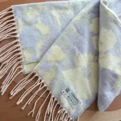 Item thumbnail for item ca5d5d4e-63a5-44c6-90a7-3f085f943a0d