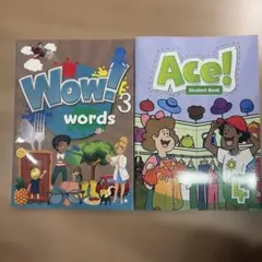 シェーン英会話テキスト　wow ace