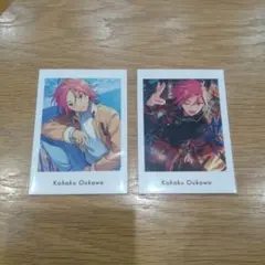 桜河こはく　ぱしゃっつ