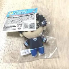 家庭教師ヒットマンREBORN 山本武　ミニぬいぐるみ　ひこくじ